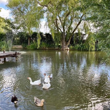 Apartament Au Coeur De La Flandre Noordpeene Zewnętrze zdjęcie