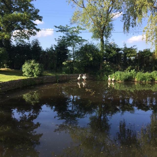 Apartament Au Coeur De La Flandre Noordpeene Zewnętrze zdjęcie