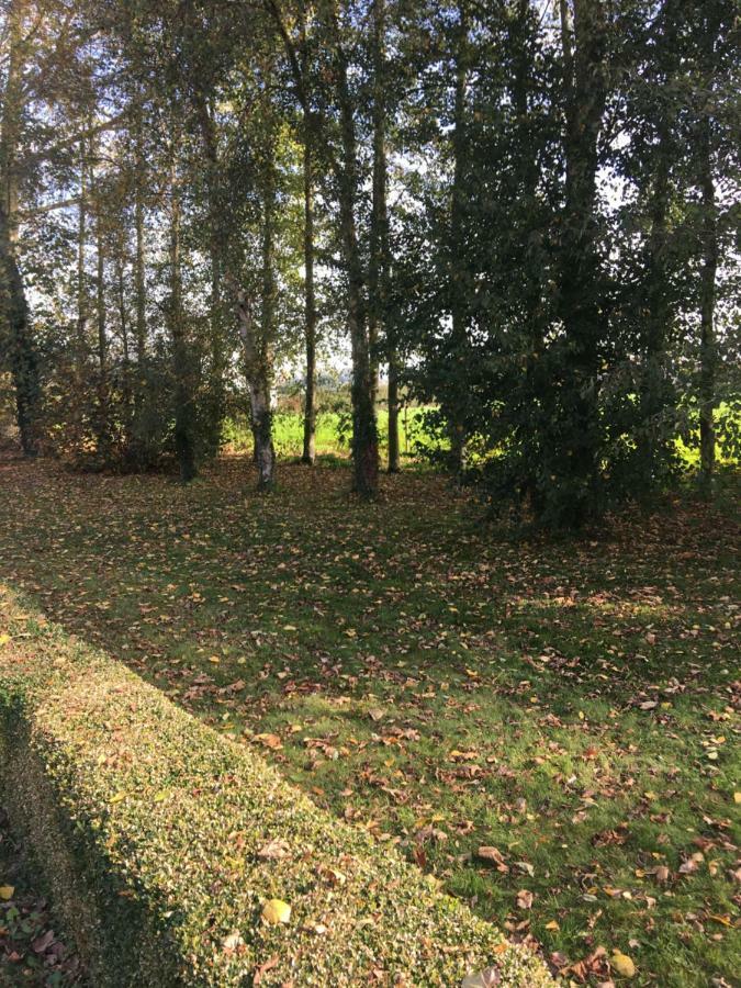 Apartament Au Coeur De La Flandre Noordpeene Zewnętrze zdjęcie