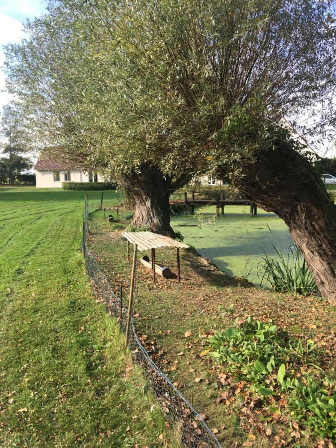 Apartament Au Coeur De La Flandre Noordpeene Zewnętrze zdjęcie