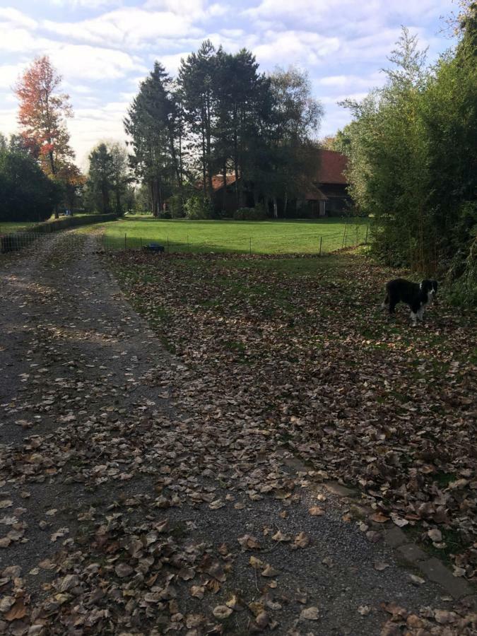 Apartament Au Coeur De La Flandre Noordpeene Zewnętrze zdjęcie