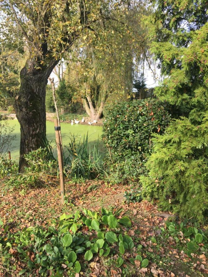Apartament Au Coeur De La Flandre Noordpeene Zewnętrze zdjęcie