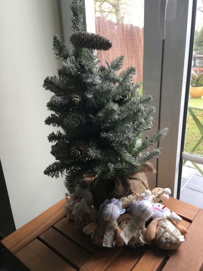 Apartament Au Coeur De La Flandre Noordpeene Zewnętrze zdjęcie